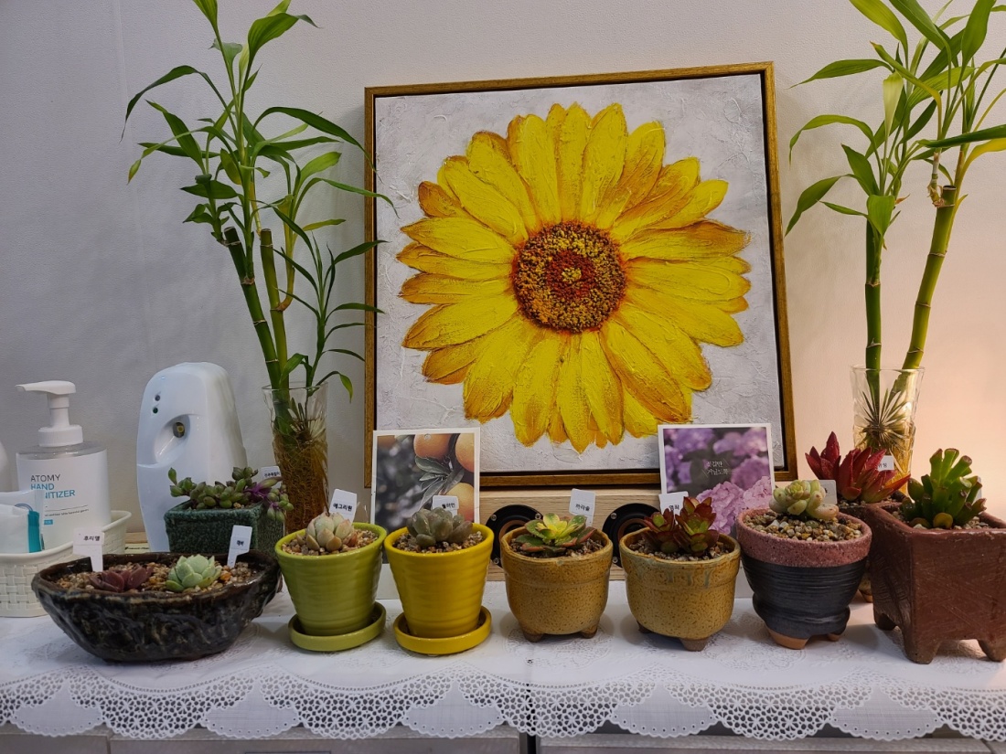  남양주시  다산동 100% 건전샵에서 여자 경력관리사님 구합니다 