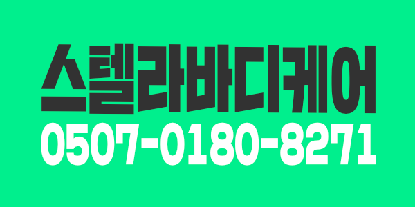 스텔라바디케어 오픈멤버모집 건전샵