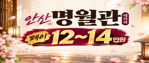 안산/페이12~14) 안산 페이 11만원.? 죄송한데 저희는 14까지 봅니다.